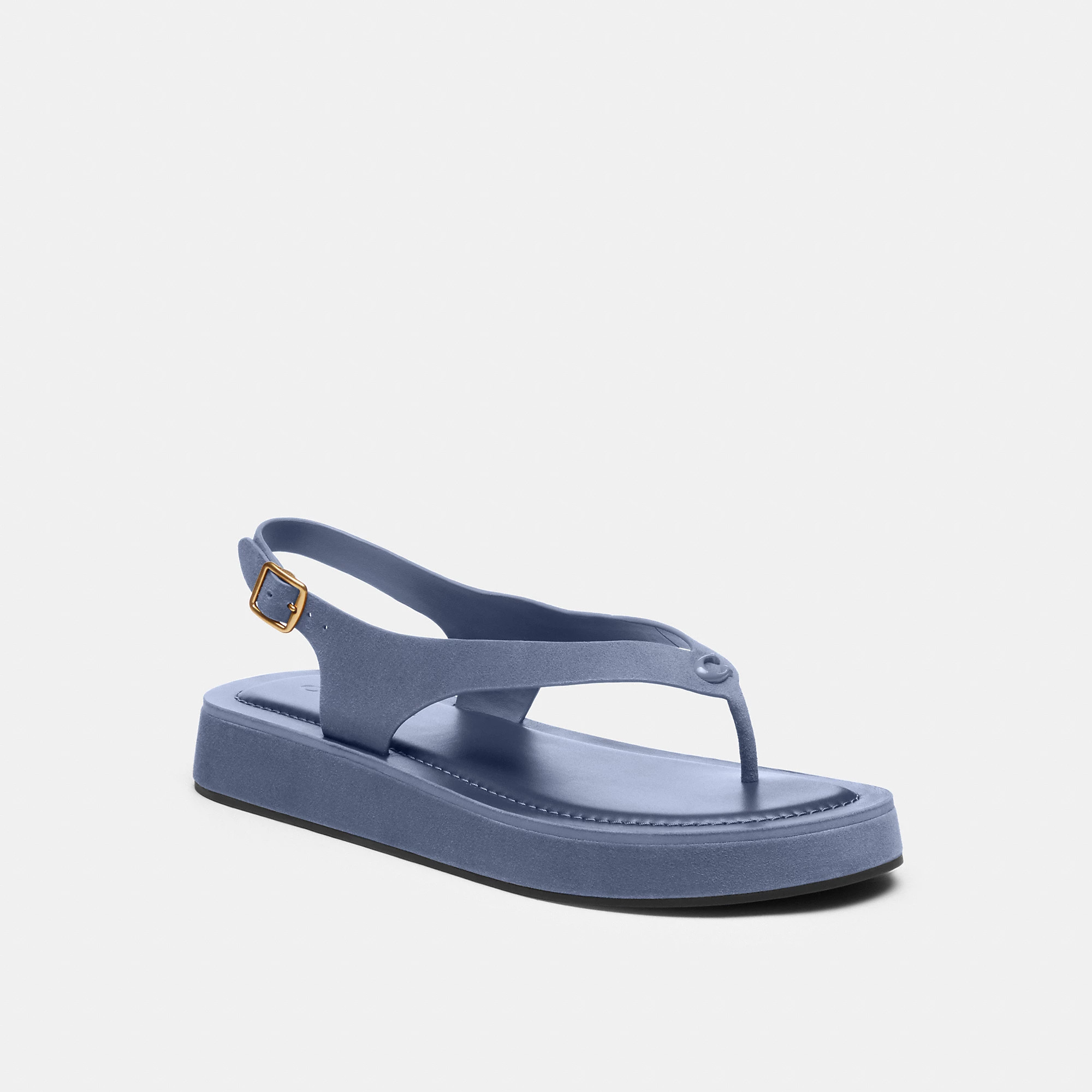 Sculpted C Platform Thong Sandal | Coach (US)