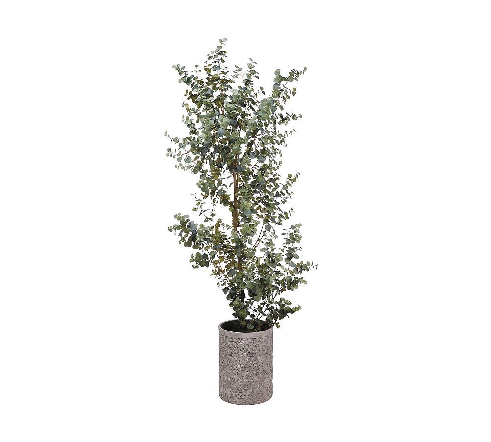 Faux Eucalyptus Tree In Cement Planter - 8' | Pottery Barn (US)