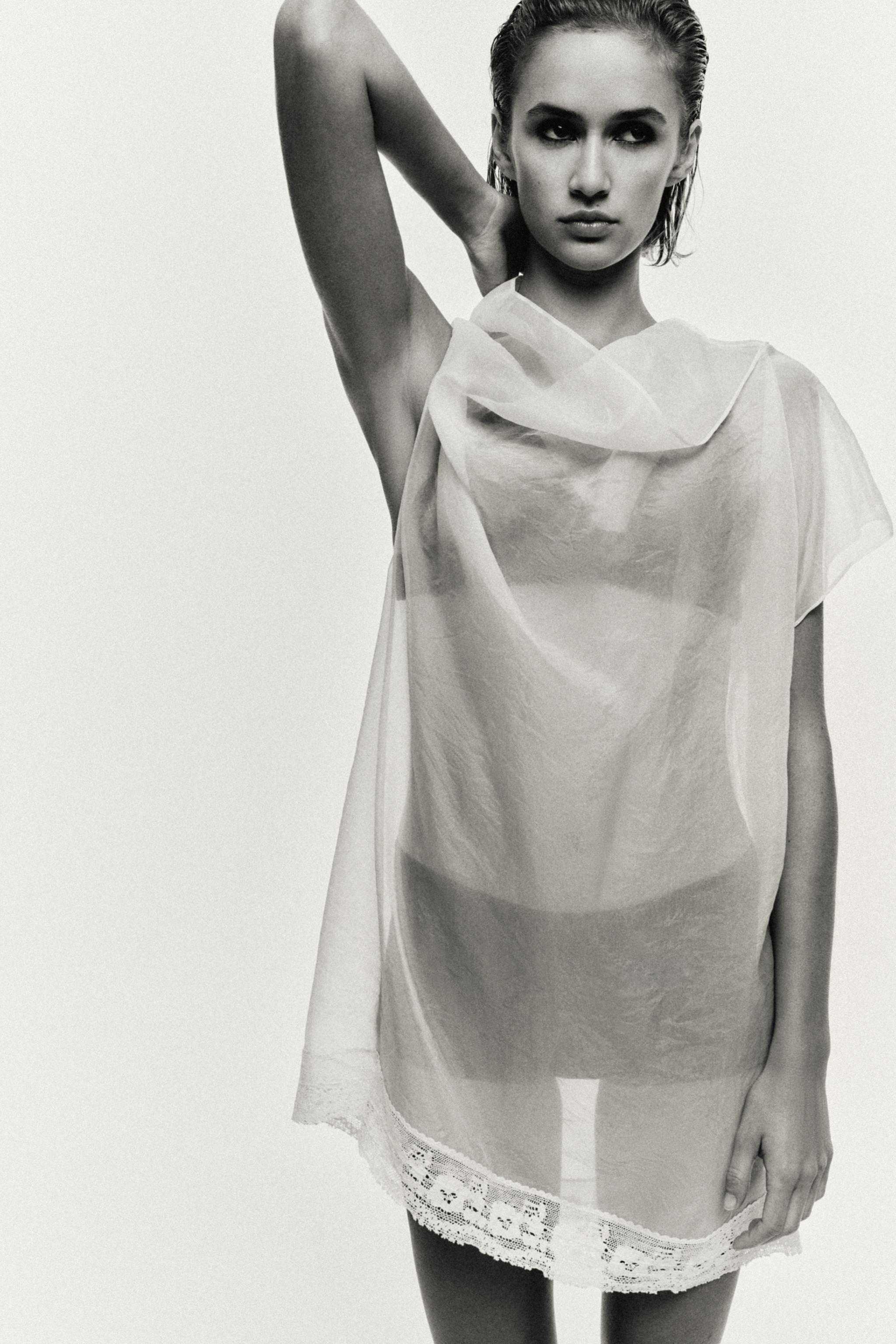 ORGANZA LACE TOP | Zara UK