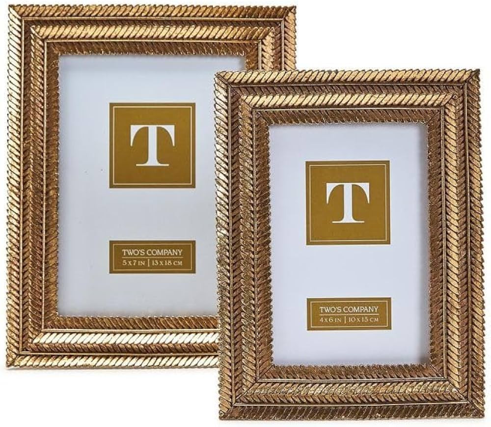 Two's Company Gold Fern Set of 2 Photo Frame Includes 2 Sizes | Amazon (US)