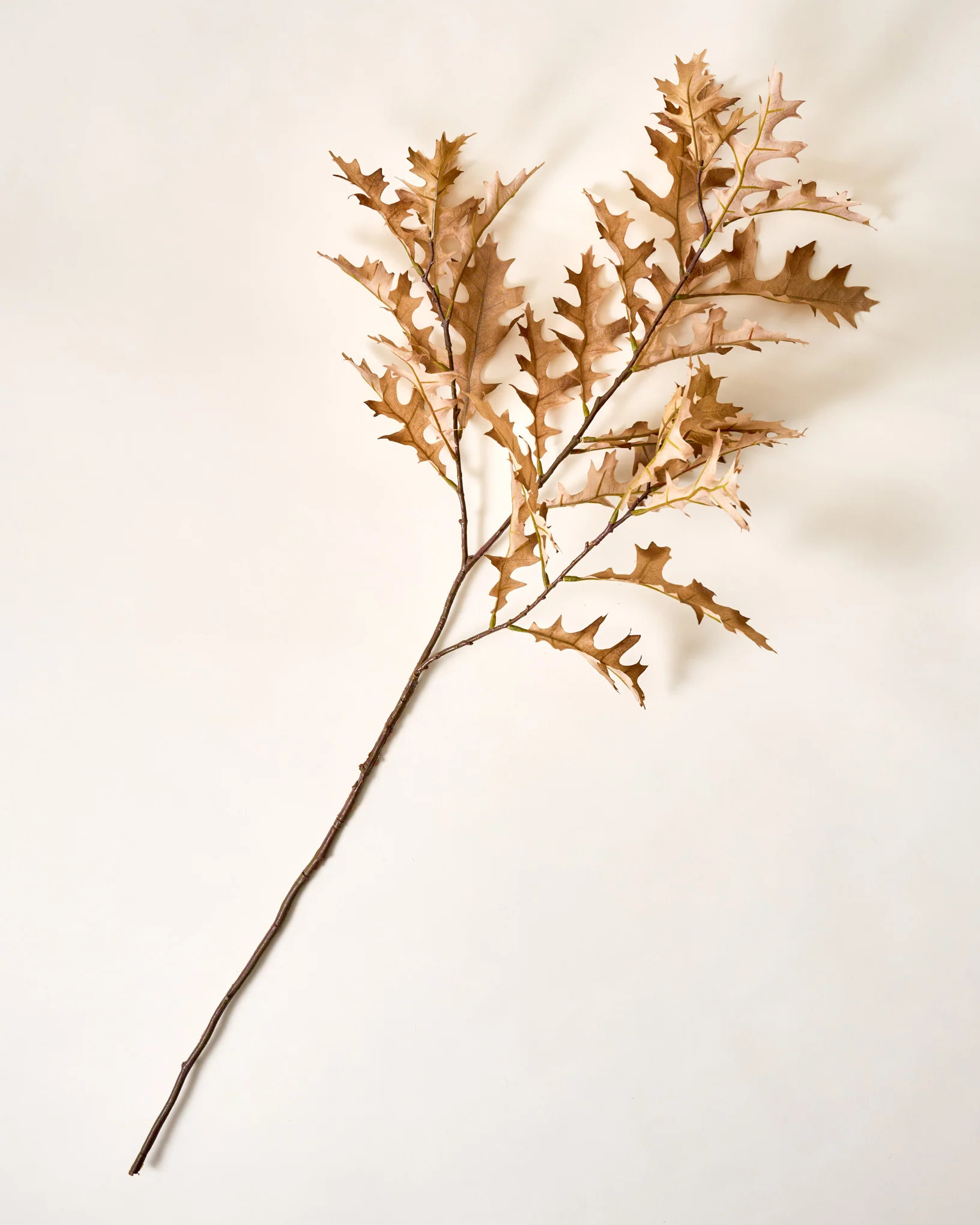 Cream Oak Leaf Spray | Magnolia