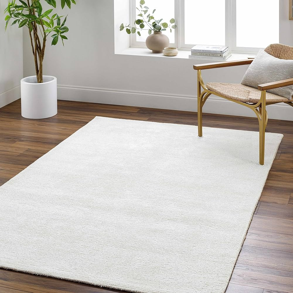 Nazih Contemporary Area Rug - Off White, Light Silver - 8' Square | Amazon (US)