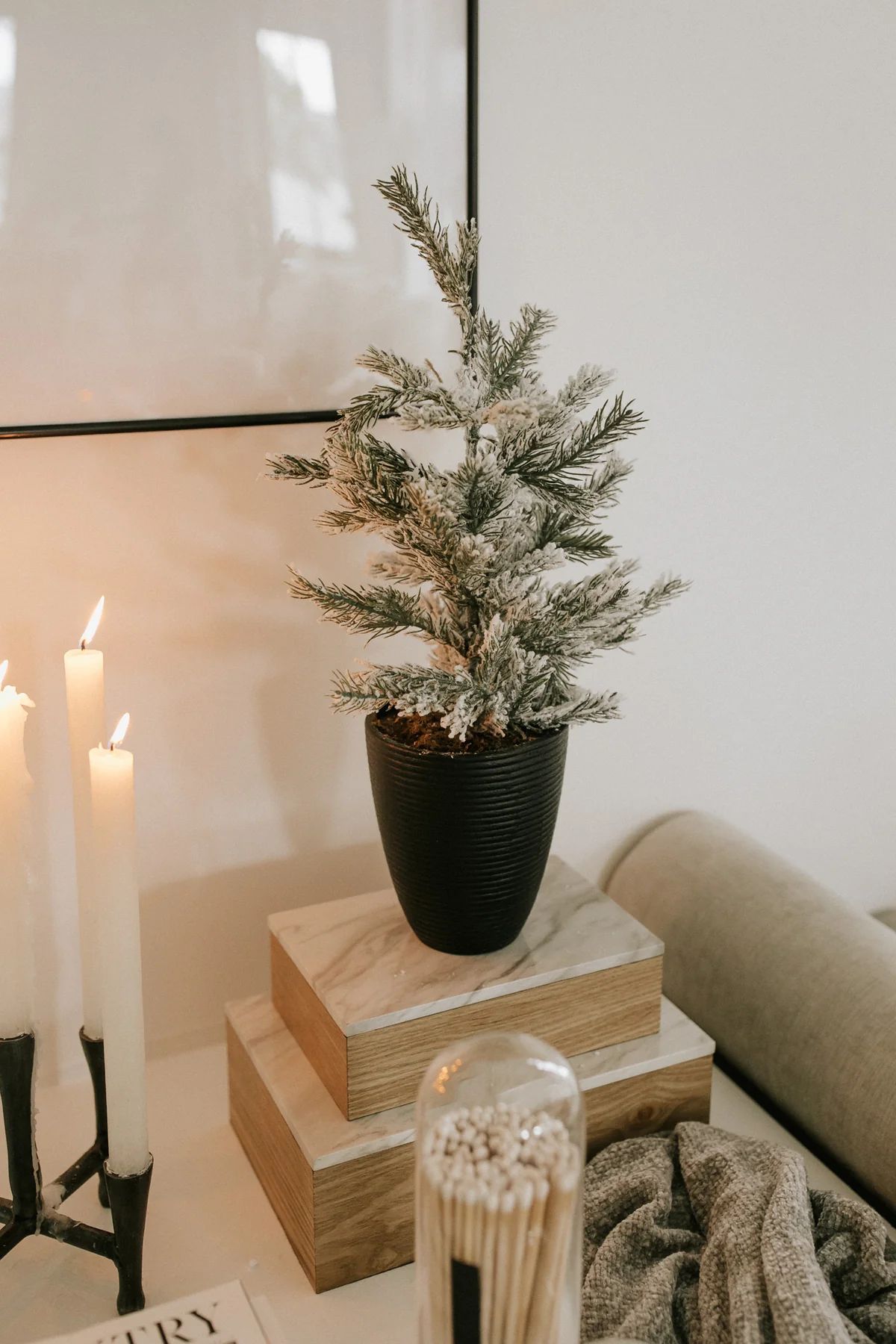 Huntley Potted Pine | THELIFESTYLEDCO