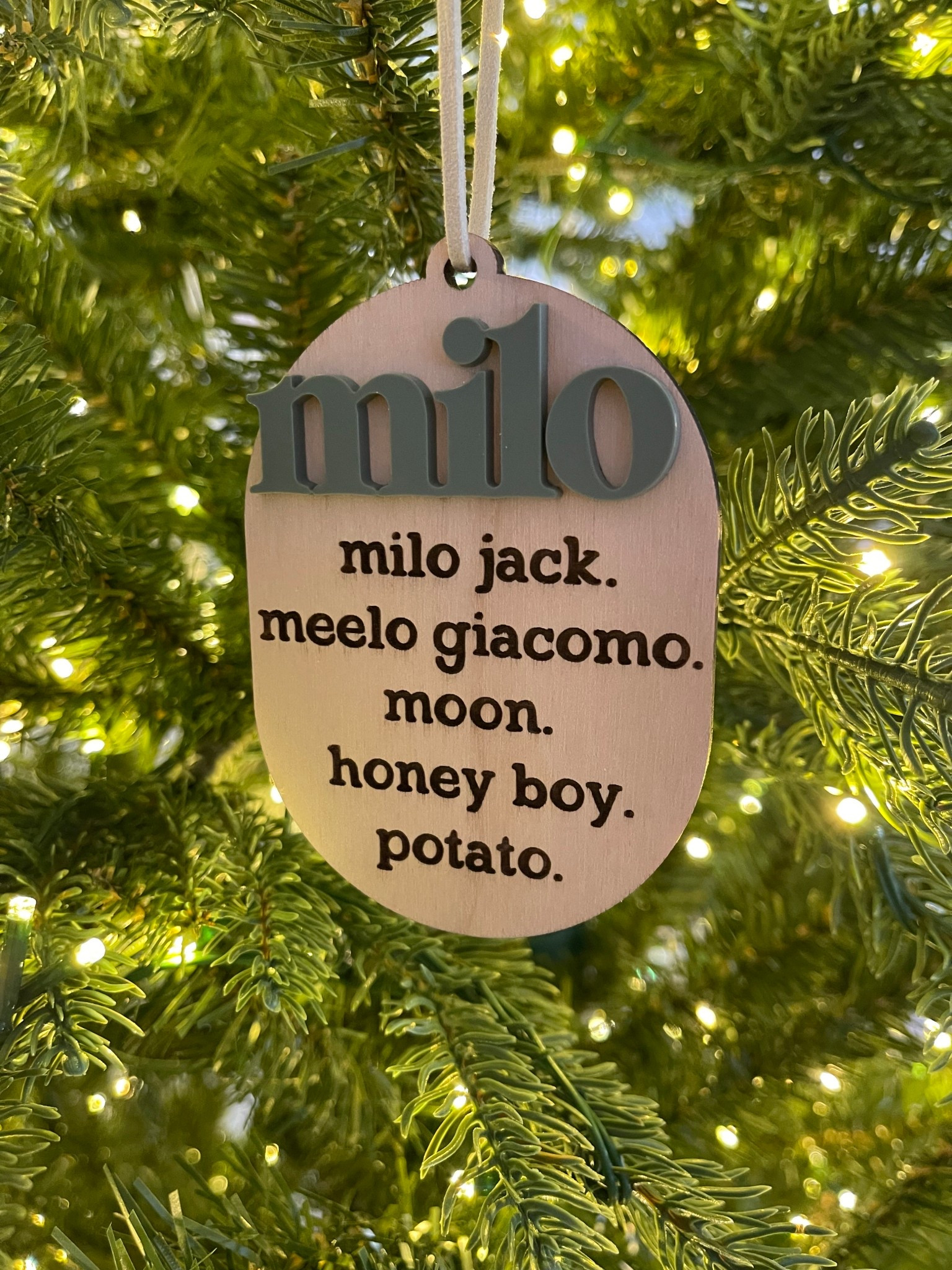 A custom ornament for all of the names and nicknames you call your kid — so cute and a great personalized gift!

#LTKHome #LTKHoliday #LTKGiftGuide