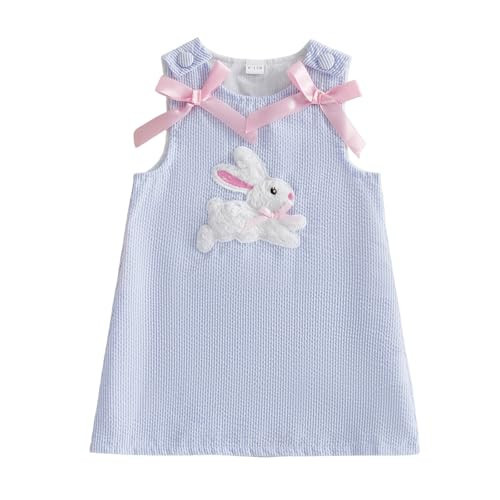 Toddler Baby Girl Easter Outfit Sleeveless Crew Neck Bow Bunny Rabbit Embroidery Dress Little Girls Spring Clothes (Sky Blue, 12-18 Months) | Amazon (US)