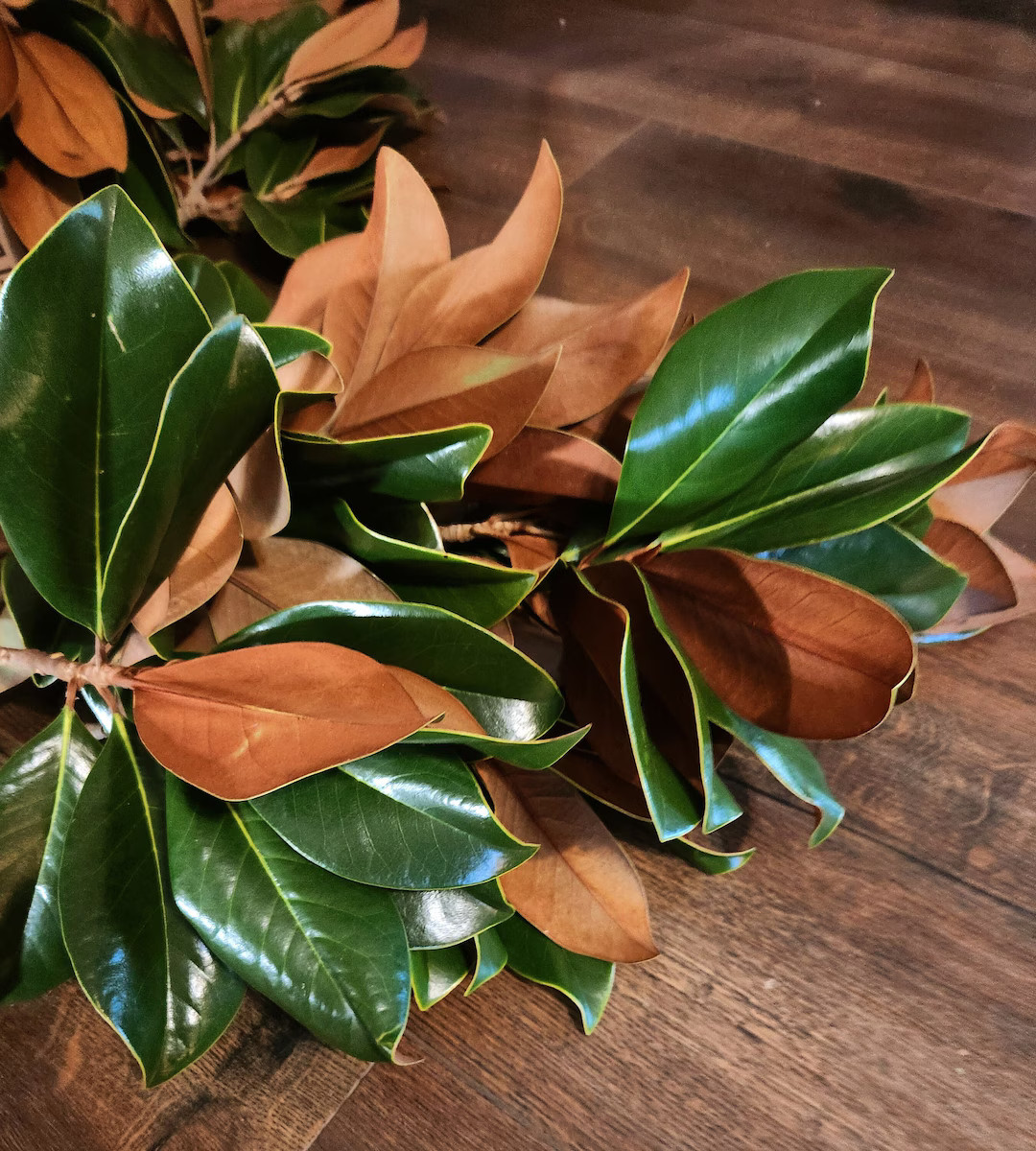 Fresh Southern Magnolia Leaves - Sale! 20% FREE, Hand-picked, Home Decor Weddings Parties Gifts, ... | Etsy (US)