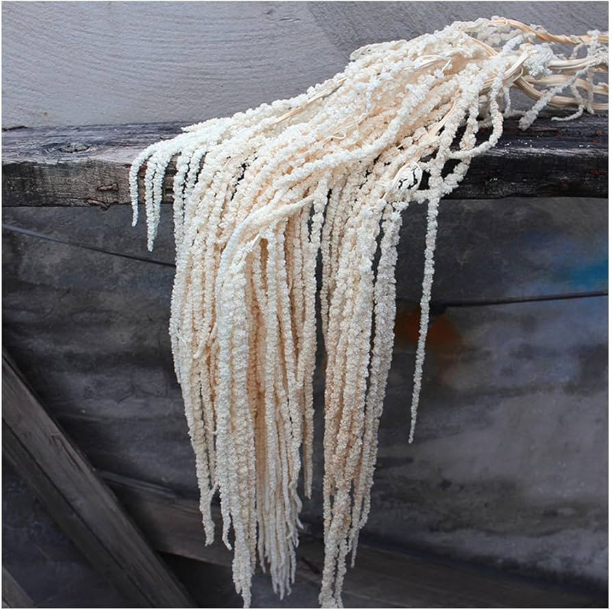 5Pcs Dried Preserved Amaranthus Hanging Flowers 35 Inches White Wisteria Vine Real Dried Flower f... | Amazon (US)