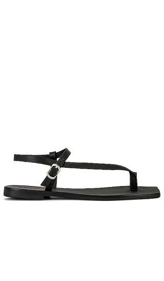 Lexus Sandal in Black | Revolve Clothing (Global)