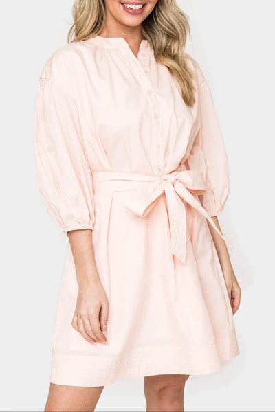 Ambition Puff Sleeve Belted Dress | Gibson