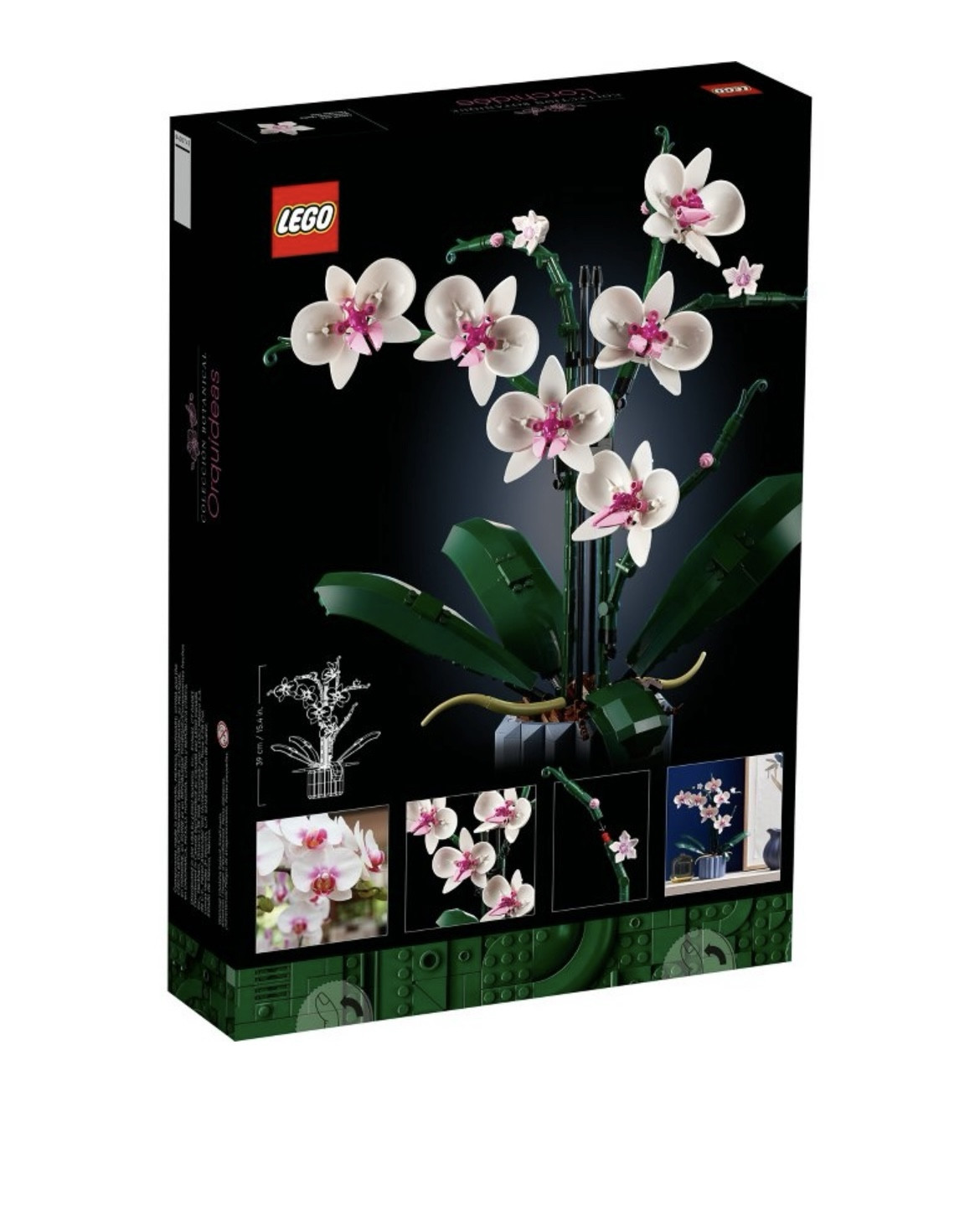 Lego Icons Orchid Plant & Flowers

Great gift idea for kids or adults 



#LTKFindsUnder50 #LTKKids #LTKGiftGuide