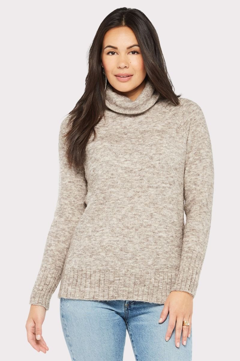 Carson Tunic Turtleneck Pullover | Evereve