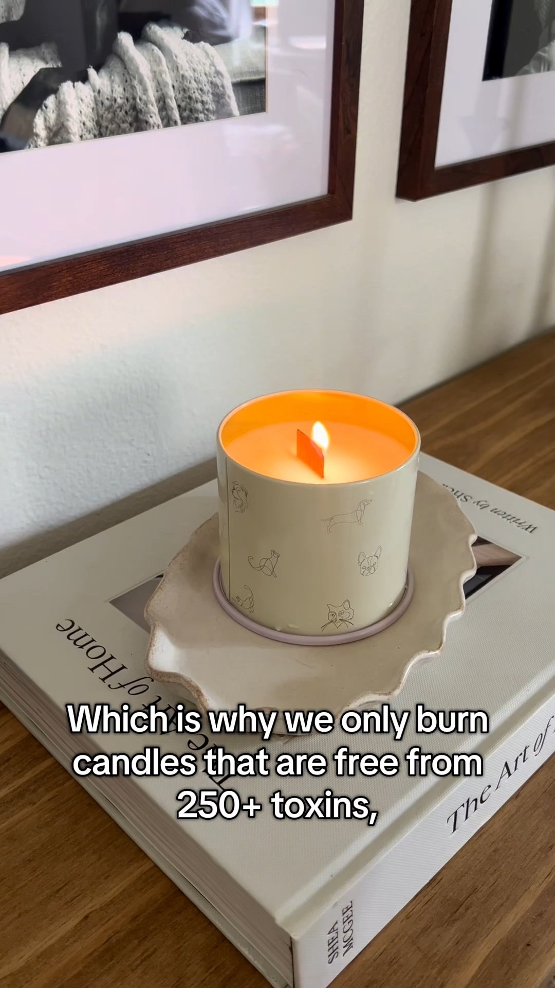 We won't burn candles in our home unless they are pet-friendly and free from known toxins which is why we love these stunning candles from Companion Candles 🕯️🐾✨

#petfriendlycandles #dogmom #dogtok

#LTKPets #LTKHome