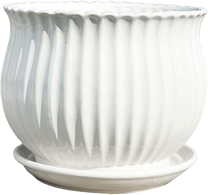Liudan Plant Pot White Ceramic Flower Pots with Trays Home Office Coffee Table Table Decoration F... | Amazon (US)