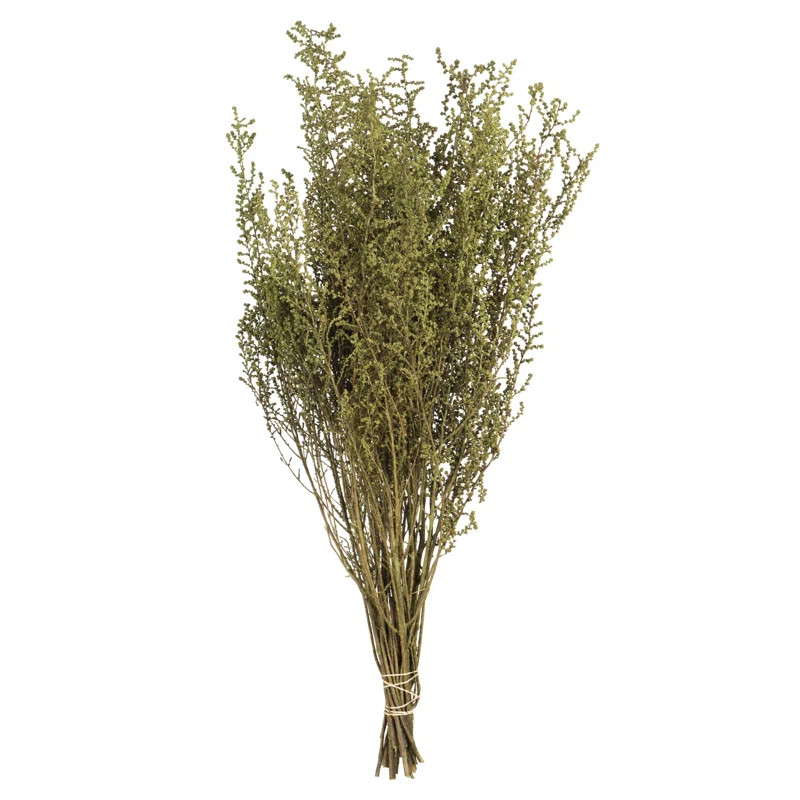 All Natural Stoebe Bundle, Preserved 14"-18" Stoebe Bundle, Preserved | Wayfair North America