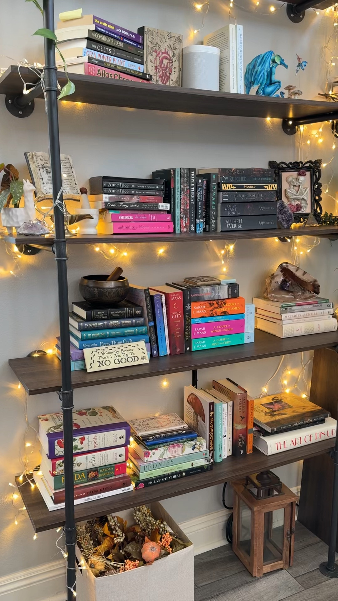 DIY built in bookshelves perfect for vines and plants to grow around for years to come! 

#LTKU #LTKHome #LTKGiftGuide