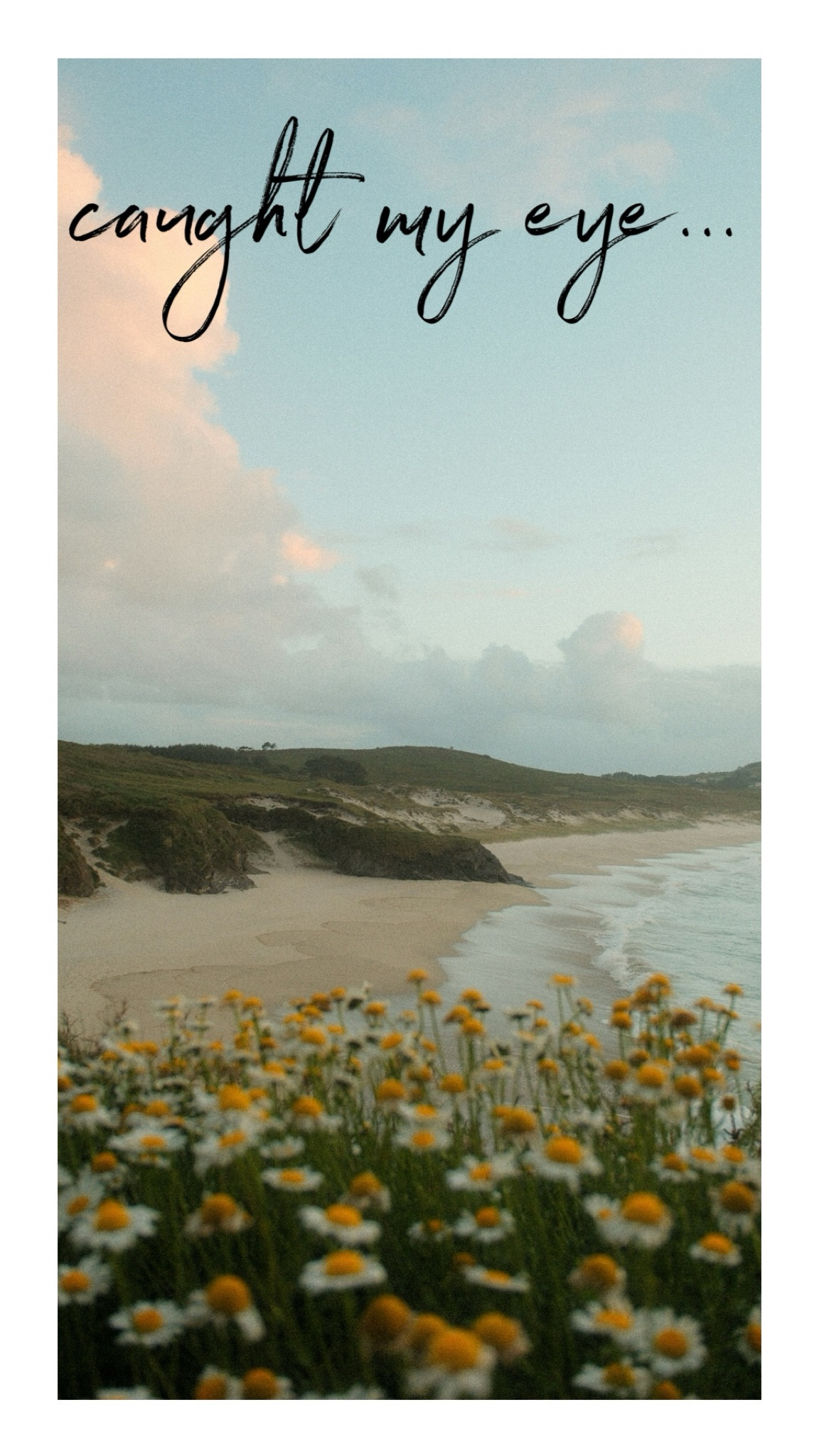 7.2 caught my eye

#LTKSummerSales #LTKStyleTip #LTKSeasonal