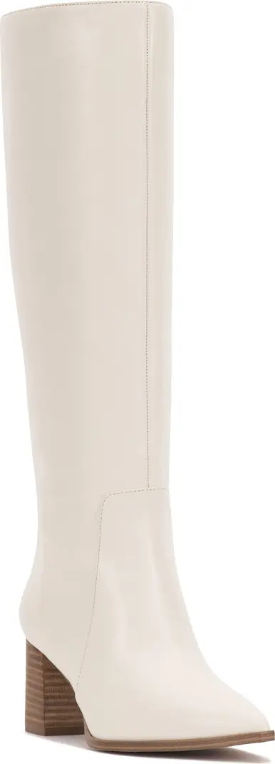 Lumina Pointed Toe Boot (Women) | Nordstrom
