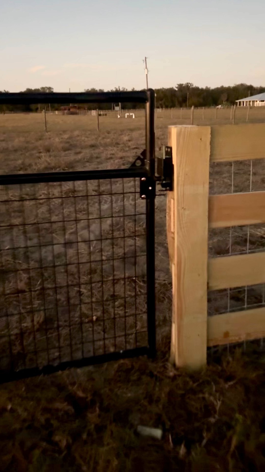 The best gate latch for horses and livestock 

#LTKFindsUnder100 #LTKdayinmylife #LTKGiftGuide