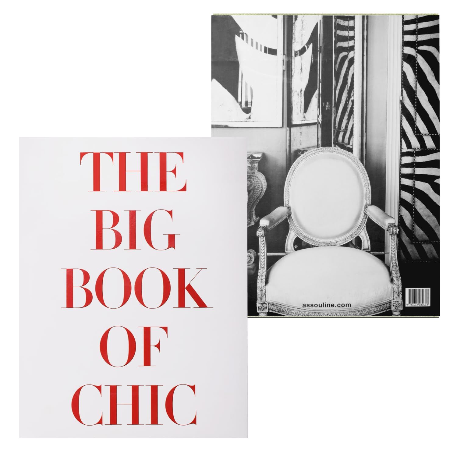 The Big Book of Chic - Assouline Coffee Table Book | Amazon (US)