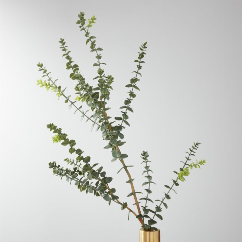 Faux Eucalyptus Stem 42" + Reviews | CB2 | CB2