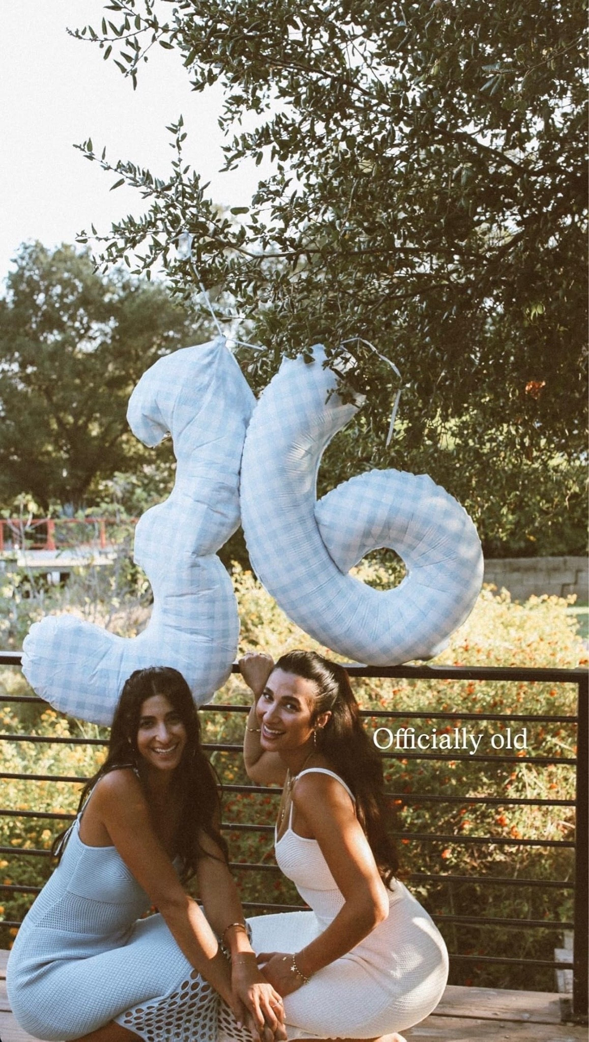 Gingham Birthday Balloon Supplies 🤍

#LTKHome #LTKSeasonal