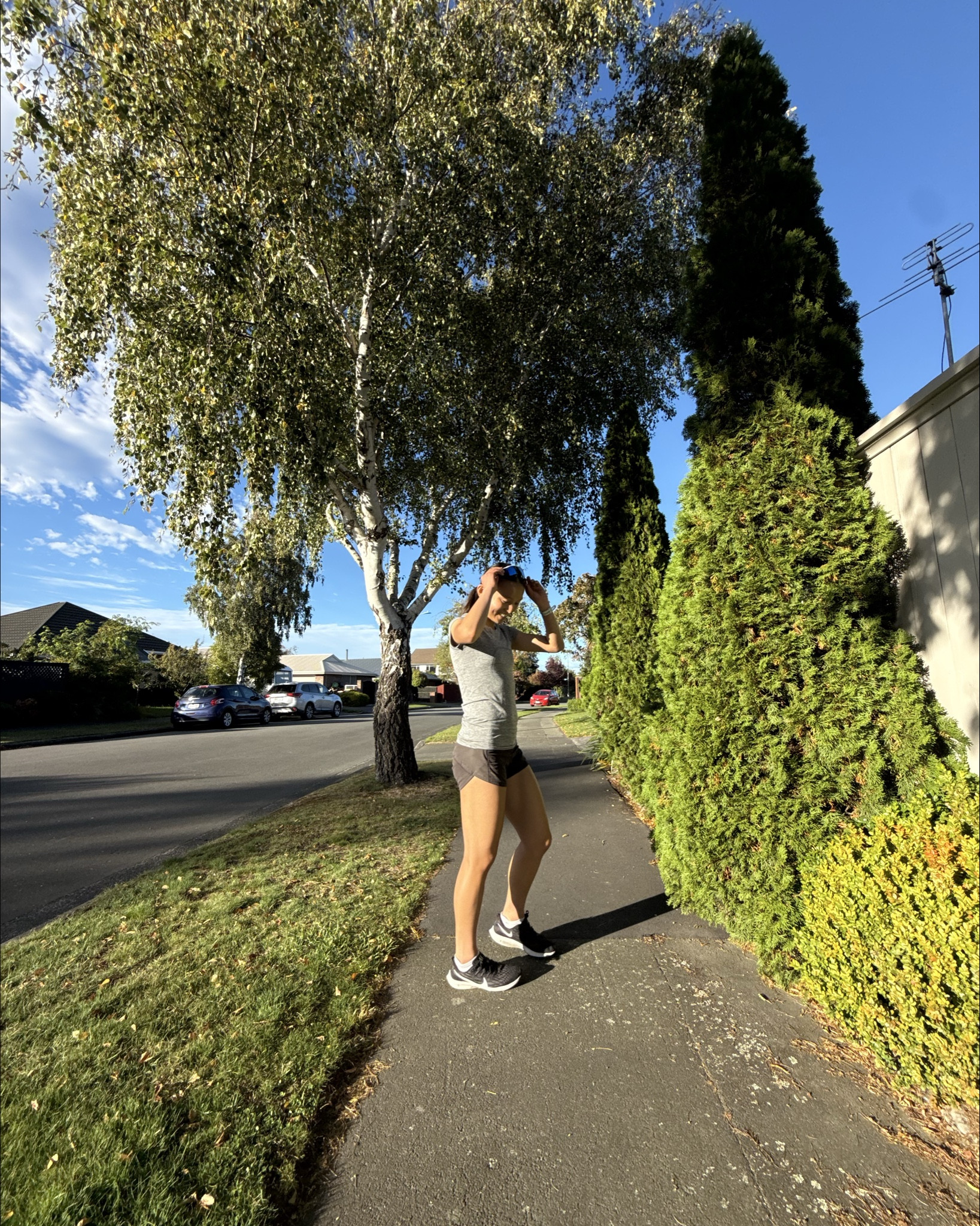 Morning walks ☀️