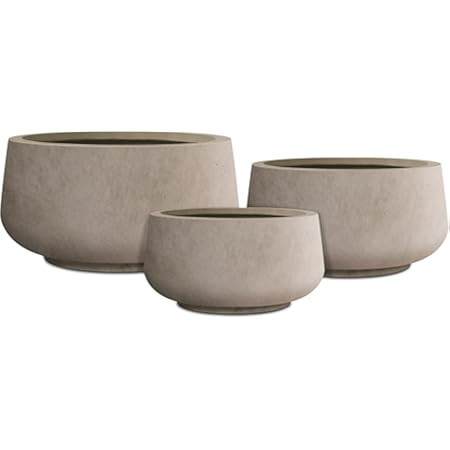 Kante Set of 3 Pale Gray Concrete Bowl Planters 19.6" 16" 11" Dia | Amazon (US)