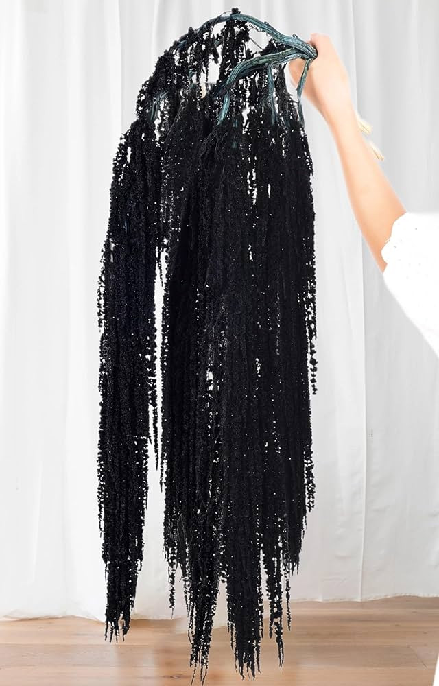 5Pcs Black Dried Amaranthus Hanging Flowers - 23" Real Preserved Dried Flowers for Halloween Garl... | Amazon (US)