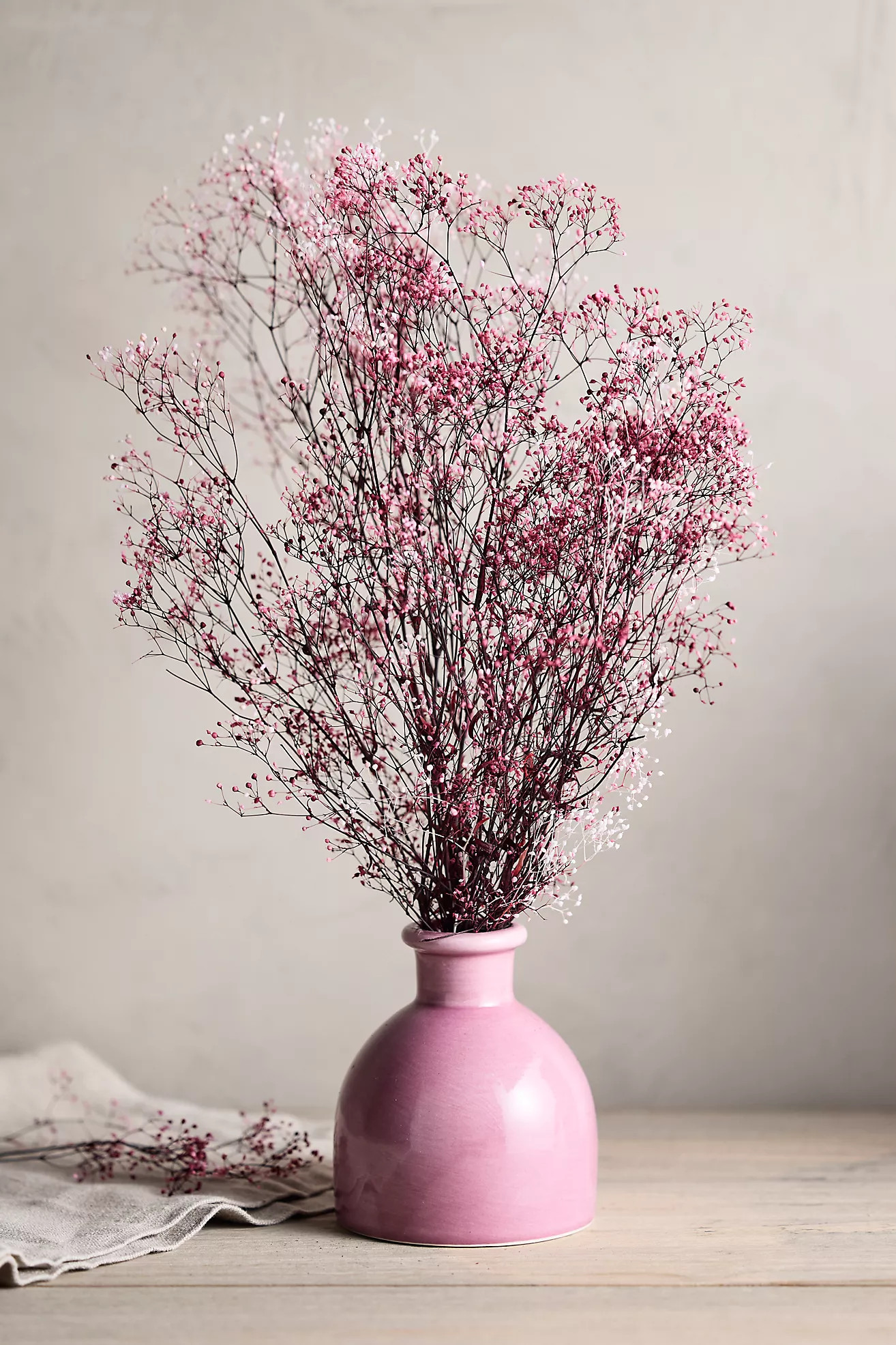 Preserved Gypsophila Bunch | Anthropologie (US)