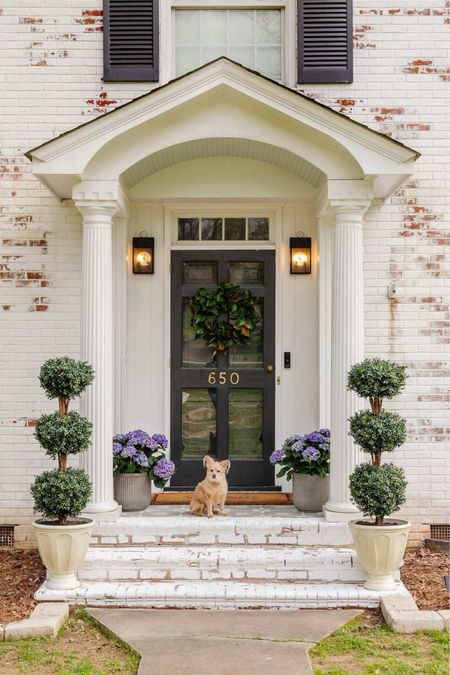 Dog not included! Front porch refresh after the holidays. New wreath and topiaries to lighten up the porch!

Porch decor, plants for the front porch, front door, live plants, wreath, front door, wreath, spring decor, Lowe’s, Walmart

#LTKhome #LTKSeasonal