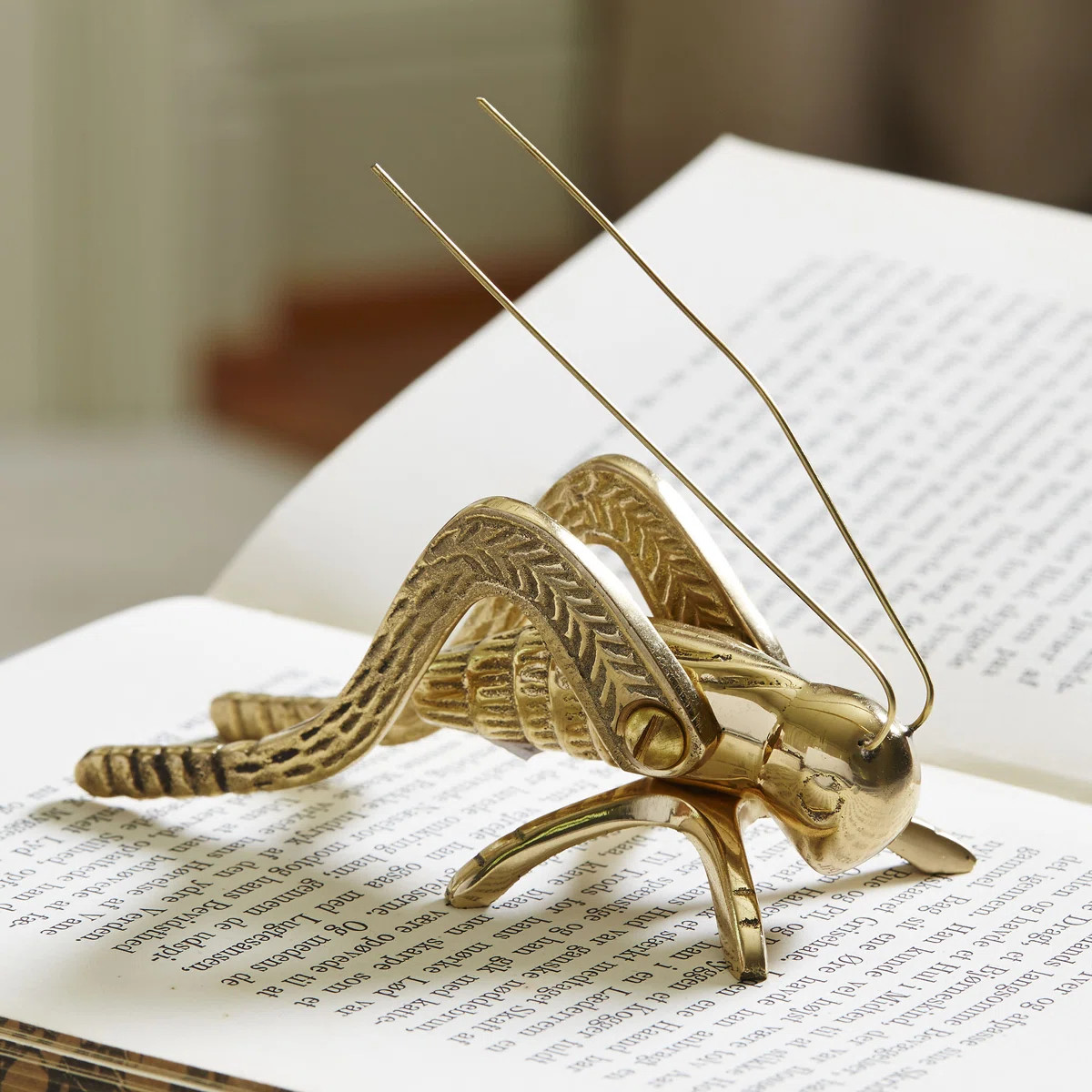 August Grove® Silikou Brass Cricket & Reviews | Wayfair | Wayfair North America