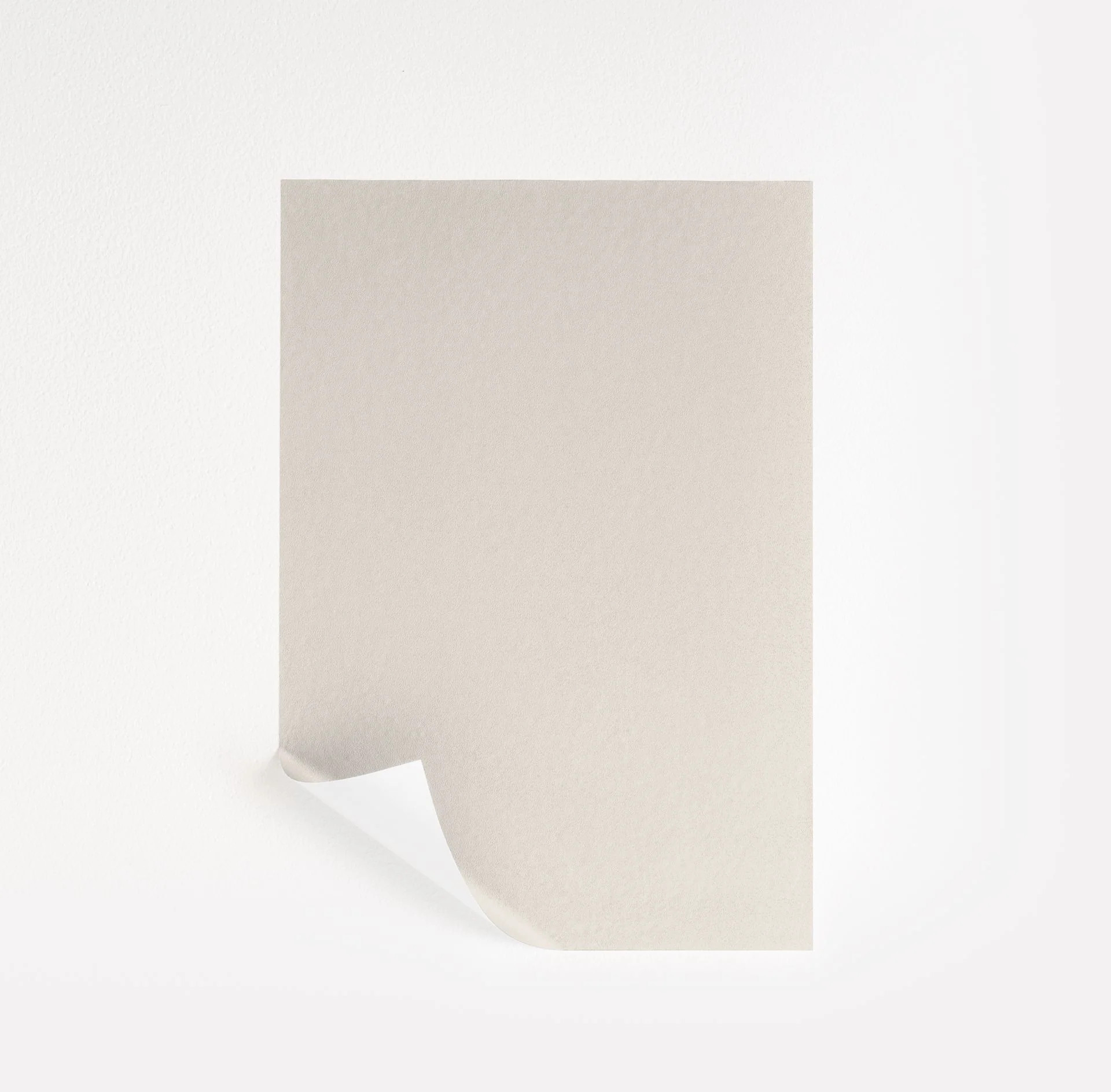 Cloudy Gray  Paint Sample | Samplize