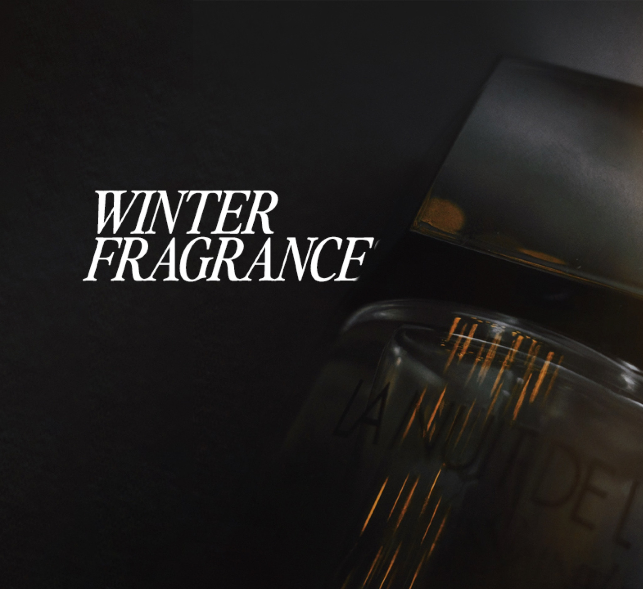 My top 4 Fragrances for Winter!

#LTKHoliday #LTKGiftGuide #LTKCyberWeek