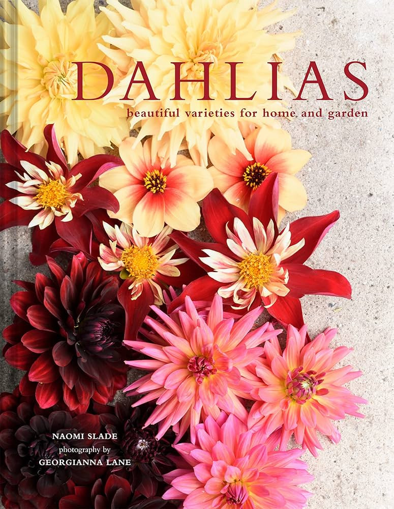 Dahlias | Amazon (US)