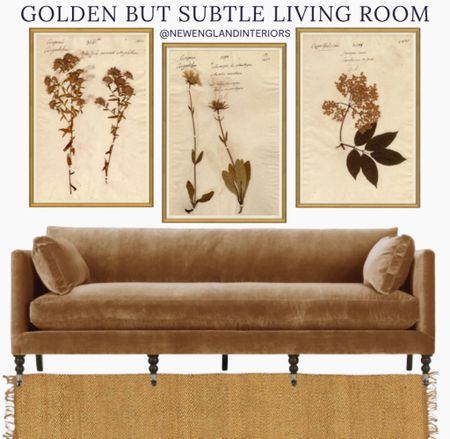 New England Interiors • Golden But Subtle Living Room • Pressed Floral Wall Art, Sofa, Farmhouse Rug. 🏡🤎

TO SHOP: Click on the link in bio or copy and paste link in web browser 

#newengland #homeinspo #livingroom #golden #floral #sofa #colonial #antique



#LTKhome #LTKFind