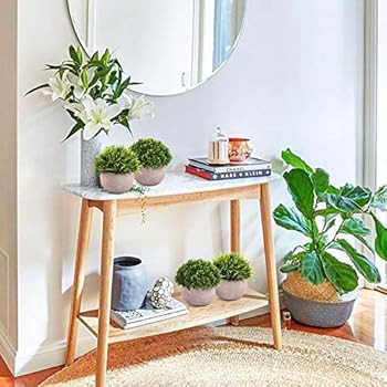 CEWOR 4 Packs Artificial Mini Potted Plants Plastic Faux Topiary Shrubs Fake Plants for Bathroom ... | Amazon (US)