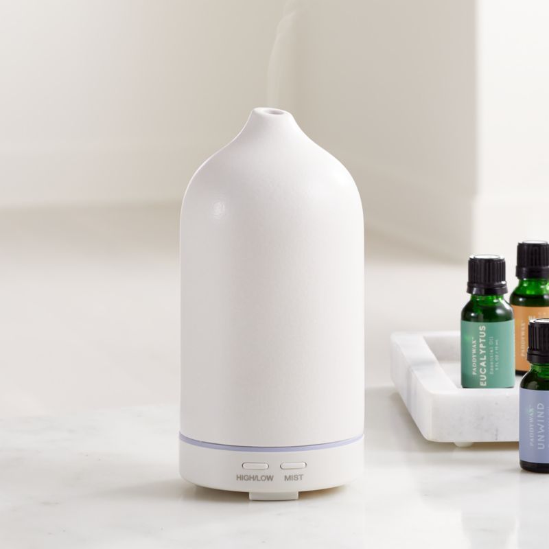Paddywax Electronic Oil Diffuser + Reviews | Crate and Barrel | Crate & Barrel