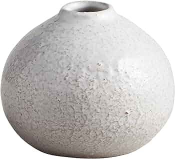 47th & Main Ceramic Bud Vase, Small, Ivory | Amazon (US)