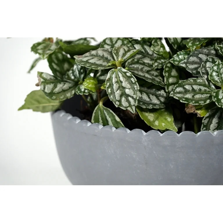 Better Homes & Gardens Pottery 8" Thalea Ceramic Scalloped Bowl with Stand, Grey - Walmart.com | Walmart (US)