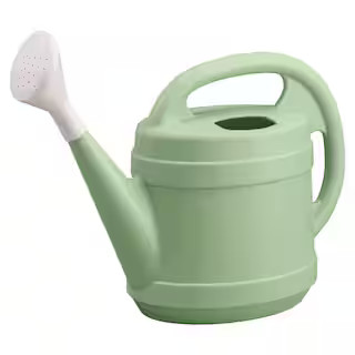 Vigoro 2 Gal. Rosemary Green Modern Multi-Grip High-Density Plastic Watering Can RZ.WC2G3BH5 - Th... | The Home Depot