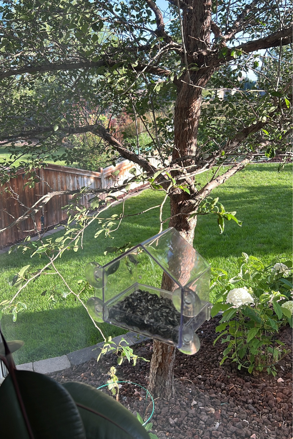 Clear acrylic birdfeeder that sticks to your window from Amazon. Perfect for kiddos or people that love watching birds.

#LTKHome #LTKFindsUnder50 #LTKSeasonal
