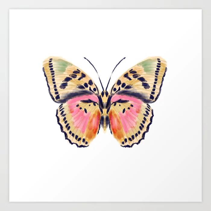 Butterfly Study no. 14 - butterfly art, watercolor butterfly, watercolor butterflies, painted but... | Society6