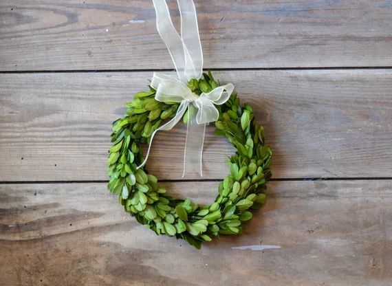 8 Mini Preserved Boxwood Wreath with Ribbon | Etsy | Etsy (US)