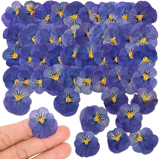 50Pcs Real Dried Pressed Pansy Flowers for Resin Molds, Mixed Dry Flowers for Resin Jewelry and C... | Amazon (US)