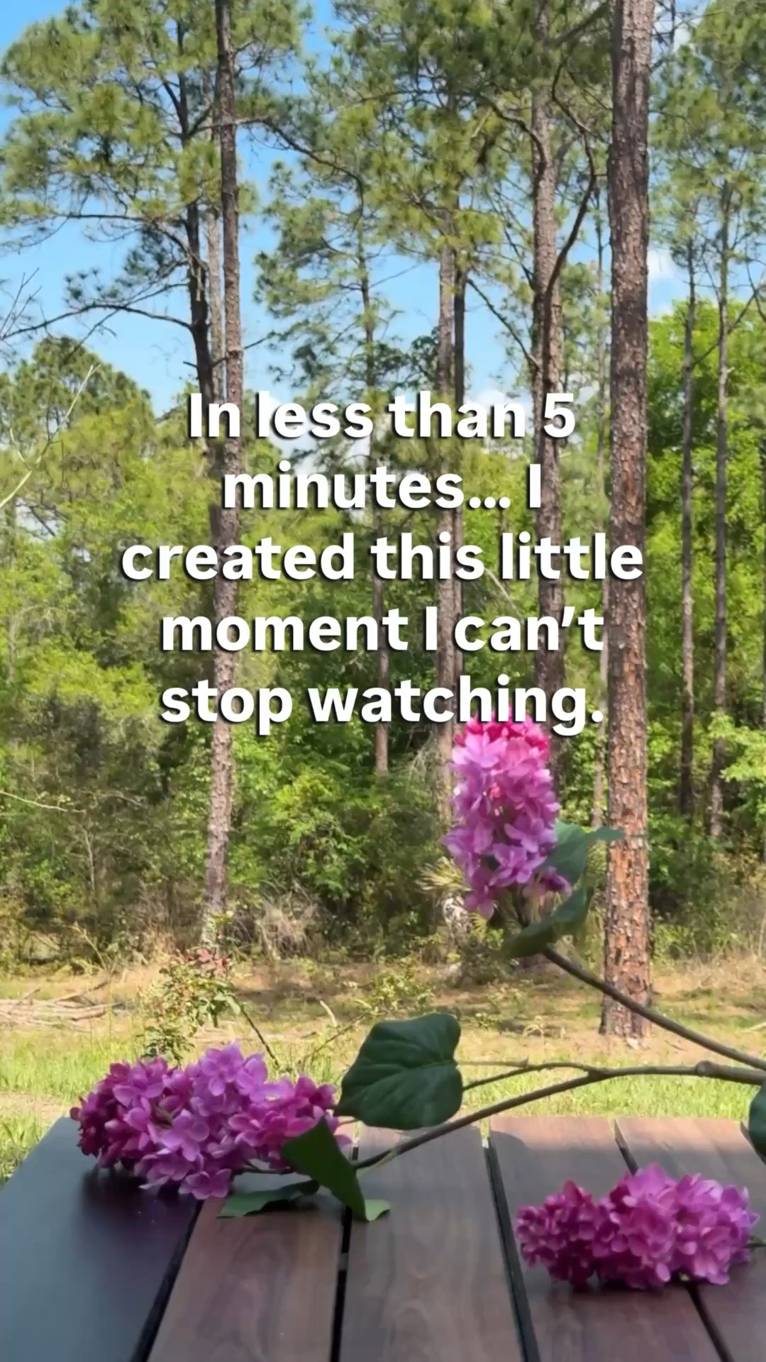 Adding this to the garden has been the sweetest thing. Takes 5 minutes but entertains the family all day. Amazon 

#LTKHome #LTKSeasonal #LTKdayinmylife