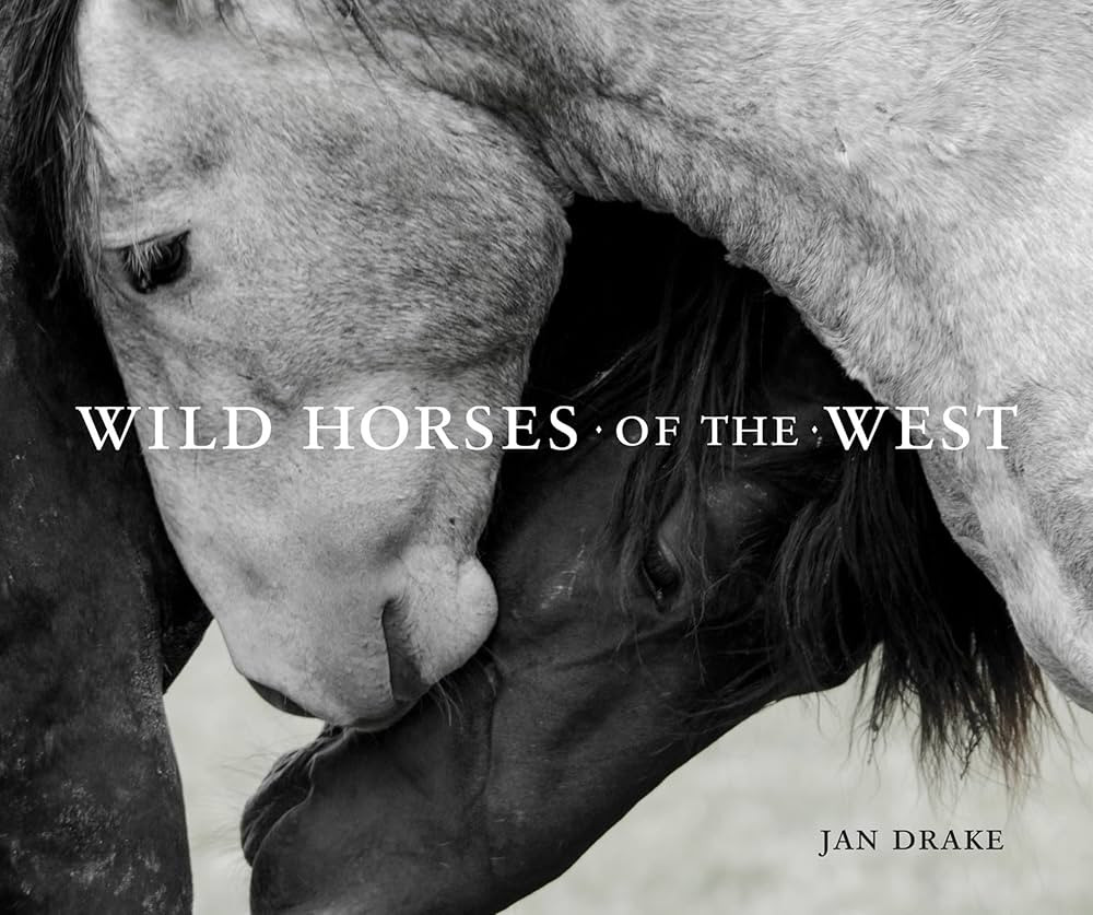 Wild Horses of the West | Amazon (US)