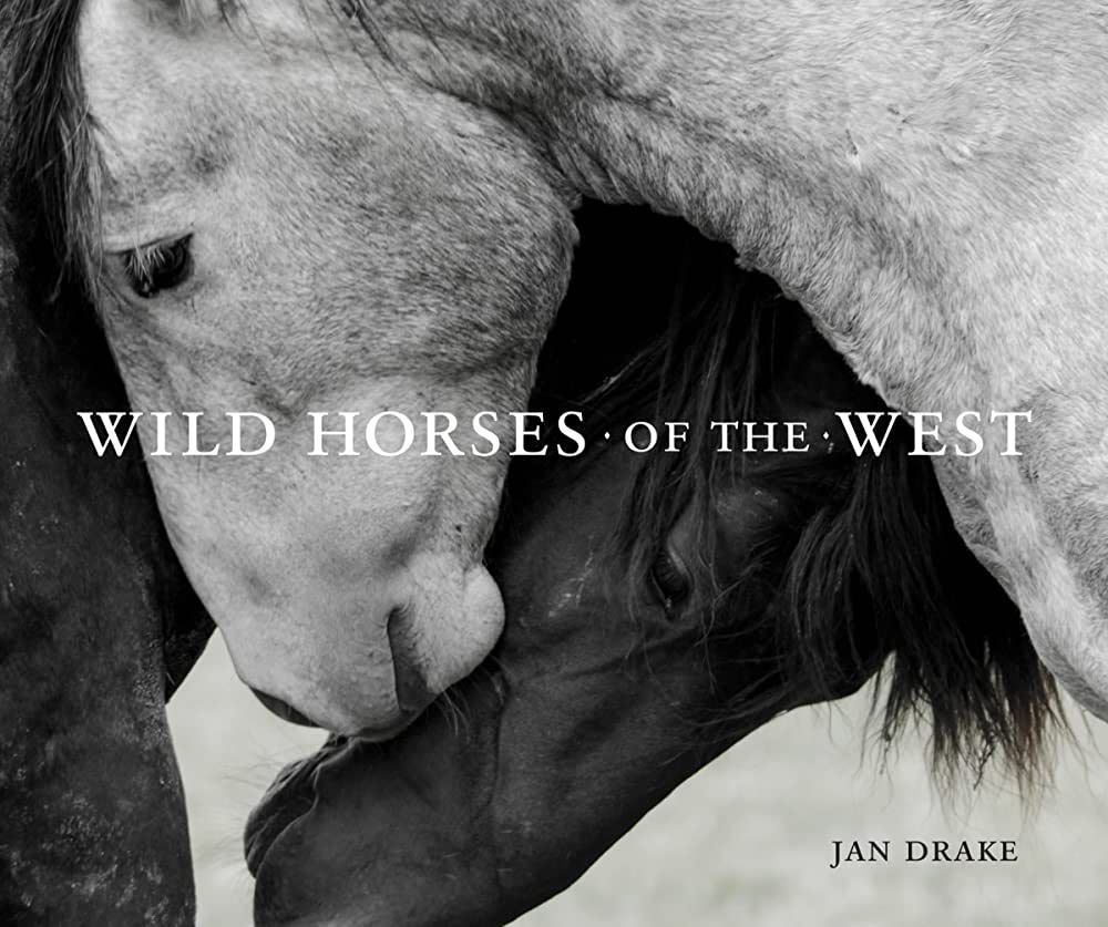Wild Horses of the West | Amazon (US)