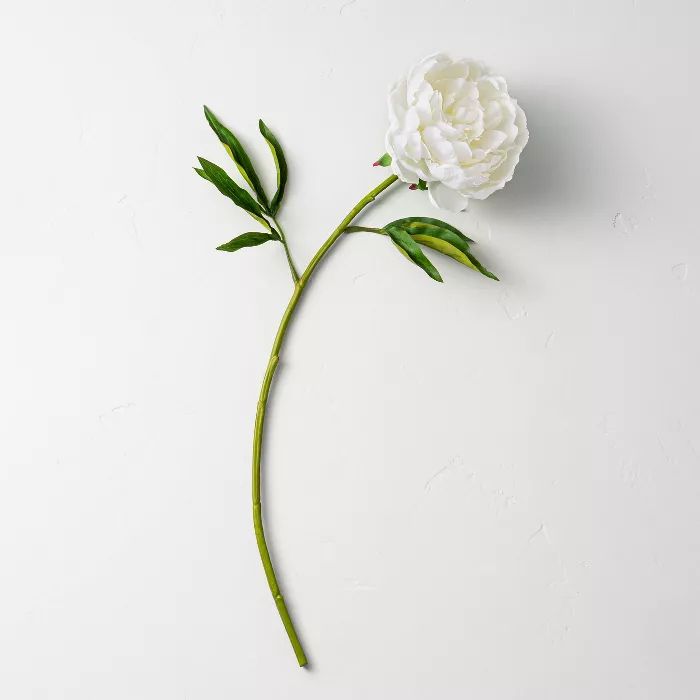 22" Faux White Peony Flower Stem - Hearth & Hand™ with Magnolia | Target