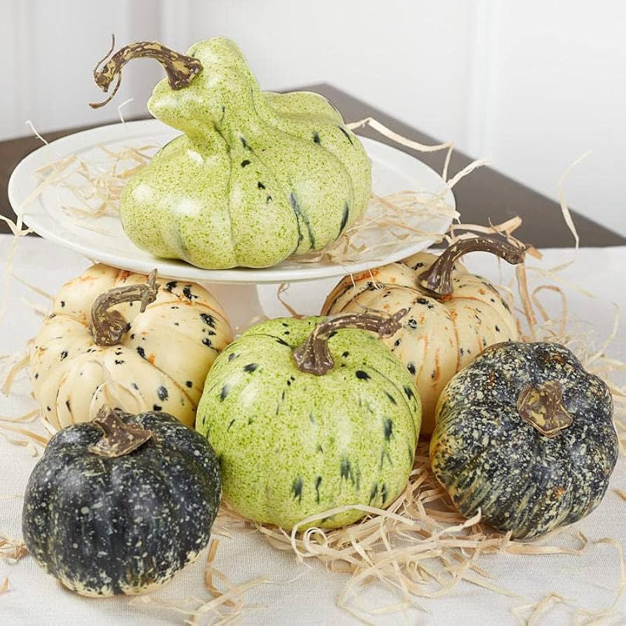 Factory Direct Craft Green and Cream Speckled Artificial Mixed Pumpkins and Gourds for Fall Decor... | Amazon (US)