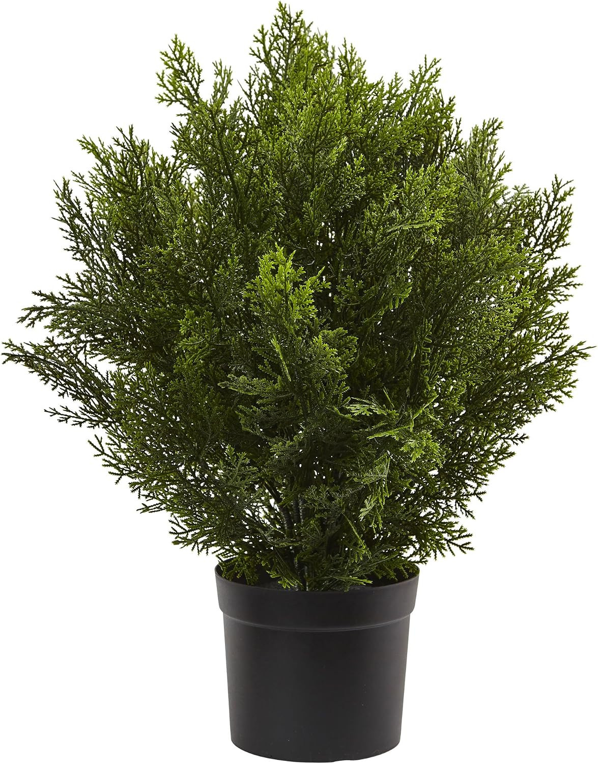 Nearly Natural 2 ft Artificial Cedar Bush, Indoor Outdoor Plant with Pot | Amazon (US)